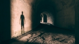What Are Shadow Beings? Why Do We See Them?